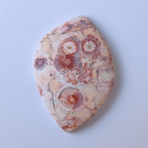 Puede incluir: Una piedra pulida en forma de lágrima con un patrón único. Presenta una base crema con patrones circulares marrón rojizo y vetas intrincadas. La superficie es lisa y reflectante, mostrando detalles naturales.