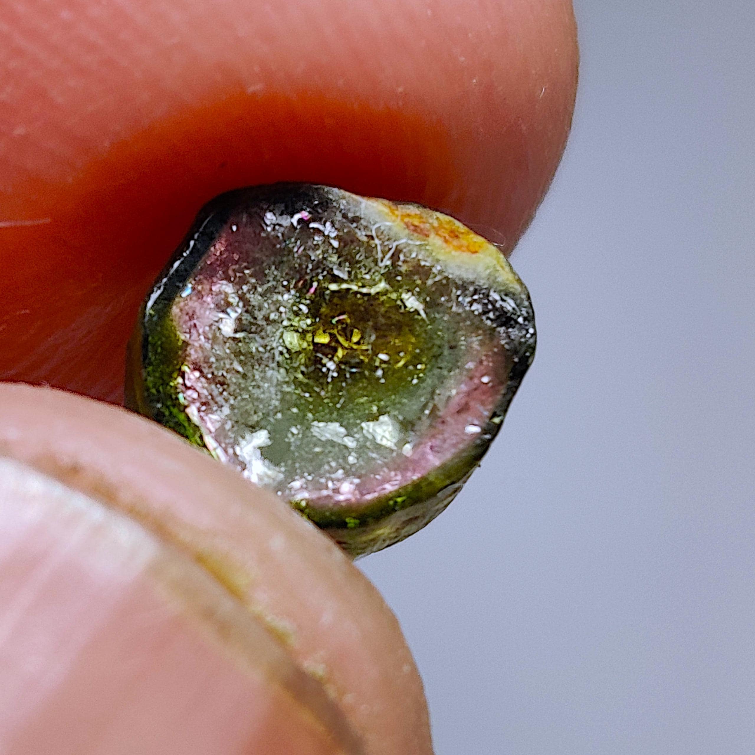 Rare Natural Fire Watermelon Tourmaline Slice Gemstone for Wire ...