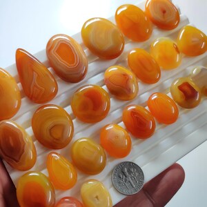 May include: A collection of polished, translucent orange and yellow agate gemstones with visible banding patterns, arranged on a white grooved display tray next to a United States dime for scale, showcasing various oval, round, and teardrop shapes.