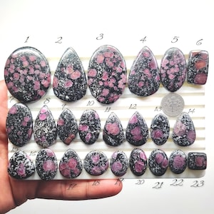 Könnte beinhalten: Eine Sammlung polierter Edelsteine, hauptsächlich in ovaler und tropfenförmiger Form, mit schwarzer Basis und rosa-roten Einschlüssen. Eine Münze dient als Größenreferenz. Die Edelsteine sind auf einer weißen Oberfläche angeordnet.