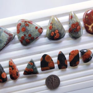 May include: A collection of polished gemstones in various shapes, including teardrop, triangular, and oval. The stones feature a mix of colors, including red, black, and gray, with unique patterns. A US dime is included for size reference.