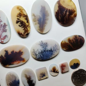 Scenic Agate Gemstone Cabochon | Dendritic Picture Agate Loose Stone | Jewelry Making Crystal (9-31mm)