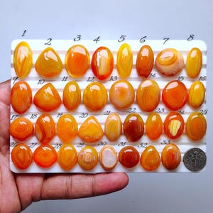 May include: A collection of 33 polished agate gemstones in shades of orange, yellow, and brown, arranged on a white tray. Each stone has a unique pattern and shape. A dime is included for size reference.