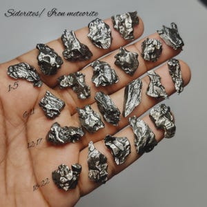 May include: A collection of iron meteorites, each with a unique, textured, dark gray appearance. The image includes the text "Siderites/ Iron meteorite" and numbers indicating individual pieces. The meteorites vary in size and shape, with rough, irregular surfaces.