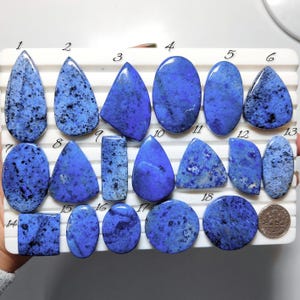 May include: A collection of eighteen polished lapis lazuli gemstones in various shapes, including teardrops, ovals, and triangles. The stones are a deep blue color with flecks of gold and white, displayed on a white tray.