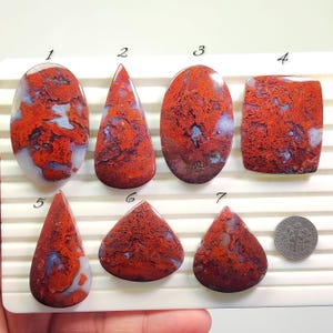 May include: Seven polished gemstones in diverse shapes, such as oval, teardrop, and rectangular. The stones display a striking red and white pattern with blue accents. A coin is included for size reference.