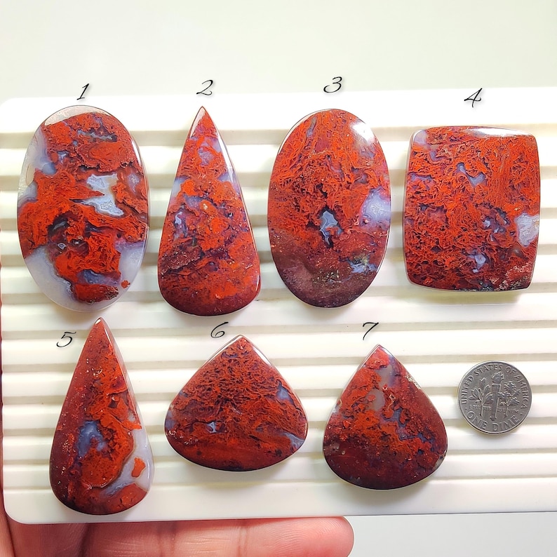 May include: Seven polished gemstones in diverse shapes, such as oval, teardrop, and rectangular. The stones display a striking red and white pattern with blue accents. A coin is included for size reference.