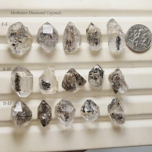 Puede incluir: Quince cristales de diamante Herkimer transparentes con inclusiones oscuras, dispuestos en tres filas de cinco, etiquetados del 1 al 15. Una moneda de diez centavos de EE. UU. está junto a la fila superior para mostrar la escala de las piedras.