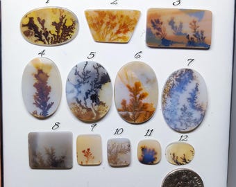 Scenic Dendritic Agate | Landscape Tree Pattern Stone for Rings, Pendants & Handmade Jewelry(9-26mm)
