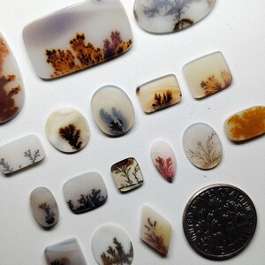 AAA Scenic Agate Gemstone Cabochon | Dendritic Picture Agate Loose Stone | Jewelry Making Crystal (7-24mm)
