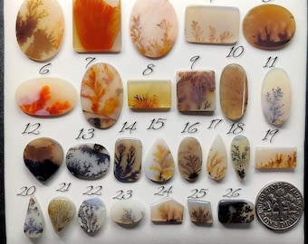 Dendritic Agate Cabochon - Natural Gemstone for Jewelry Making (8mmx23mm)
