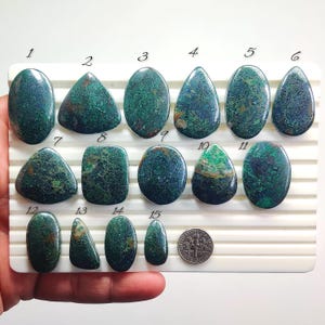 May include: A collection of fifteen polished gemstones in various shapes, including ovals, teardrops, and rectangles. The stones are primarily dark green with brown and blue veining. A dime is included for size reference.