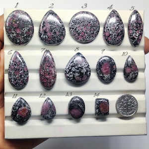 Może przedstawiać: Kolekcja czternastu wypolerowanych kamieni szlachetnych o różnych kształtach, w tym owalnych, łezkowych i kwadratowych. Kamienie mają nakrapiany wzór w kolorze głębokiej czerwieni i czerni, z monetą dla porównania wielkości. Kamienie szlachetne są prezentowane na białej powierzchni.