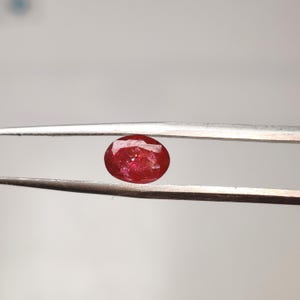 May include: A faceted, oval-shaped ruby gemstone held by tweezers. The ruby is a deep red color with internal inclusions, and it reflects light. The tweezers are silver-colored, and the background is a neutral gray.
