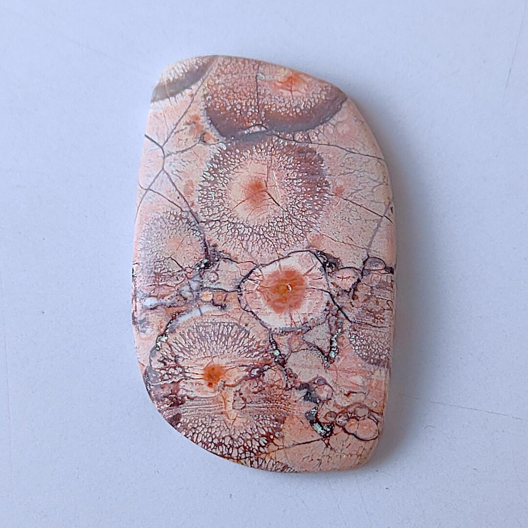 Bird Eye Jasper Gemstone Fancy, Natural Grounding Stone, Meditation