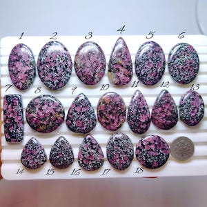 Peut inclure: Une collection de dix-huit pierres précieuses polies avec un motif moucheté rose et noir. Les pierres sont de formes variées, dont ovales, en goutte et rondes. Une pièce de monnaie est incluse pour la référence de taille.