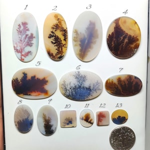 Scenic Agate Gemstone Cabochon | Dendritic Picture Agate Loose Stone | Jewelry Making Crystal (9-31mm)