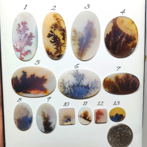 Scenic Agate Gemstone Cabochon | Dendritic Picture Agate Loose Stone | Jewelry Making Crystal (9-31mm)