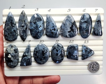 May include: Thirteen polished labradorite gemstones in diverse shapes, such as teardrop, oval, and triangular. The stones exhibit dark grey and blue tones with iridescent flashes, displayed on a white tray.