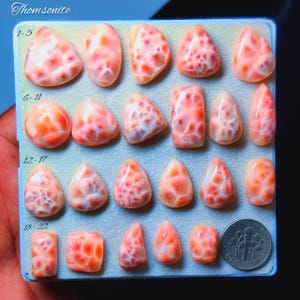 Natural Thomsonite Gemstone from India | Rare Pattern Stone for Cabochon Jewelry(12-22mm)