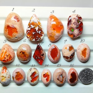 Könnte beinhalten: Eine Sammlung von Opalen in verschiedenen Formen und Größen, die leuchtende Orange-, Rot- und Cremefarben zeigen. Die Edelsteine werden auf einer weißen Oberfläche präsentiert, mit einer Münze zum Größenvergleich. Die Opale sind nummeriert.