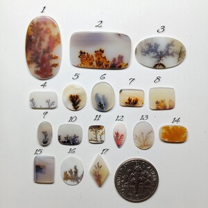 AAA Scenic Agate Gemstone Cabochon | Dendritic Picture Agate Loose Stone | Jewelry Making Crystal (7-24mm)