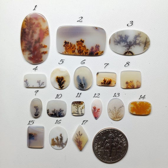AAA Scenic Agate Gemstone Cabochon | Dendritic Picture Agate Loose Stone | Jewelry Making Crystal (7-24mm)