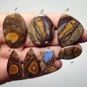 Könnte beinhalten: Sieben polierte Boulder-Opal-Cabochons, nummeriert von 1 bis 7, mit brauner Eisensteinmatrix und wirbelnden Mustern aus gelben, lohfarbenen und irisierenden blauen Adern. Jeder Stein zeigt einzigartige organische Formen, darunter ovale, tropfenförmige und rechteckige Varianten.