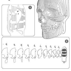 Jack: la máscara de calavera para autoensamblaje hecha de cartón ecológico. 3D DIY Puzzle escultura. imagen 5