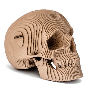 Jack: un cráneo humano para autoensamblar hecho de cartón ecológico. 3D DIY Puzzle escultura.