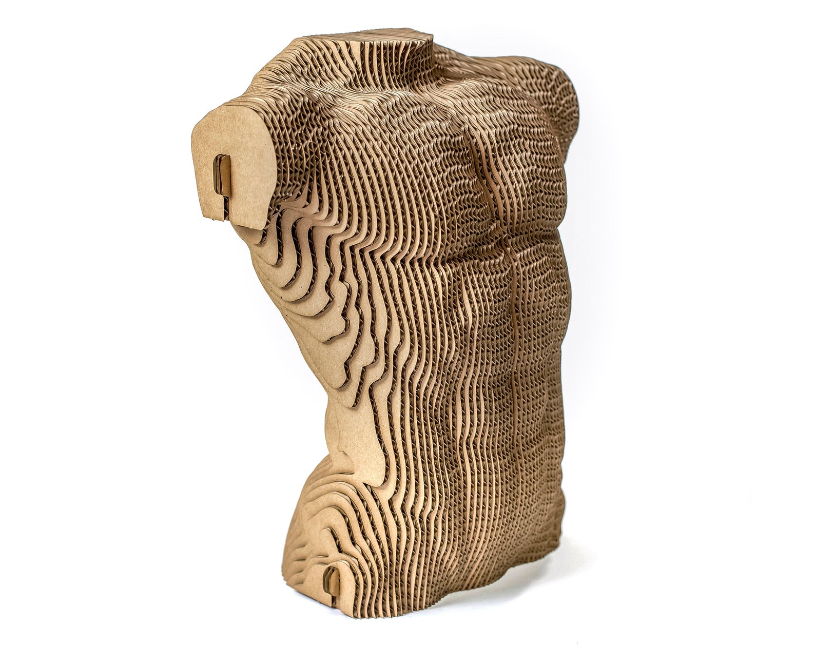 Male Torso for Self Assembly Made of Eco-friendly Cardboard. 3D DIY