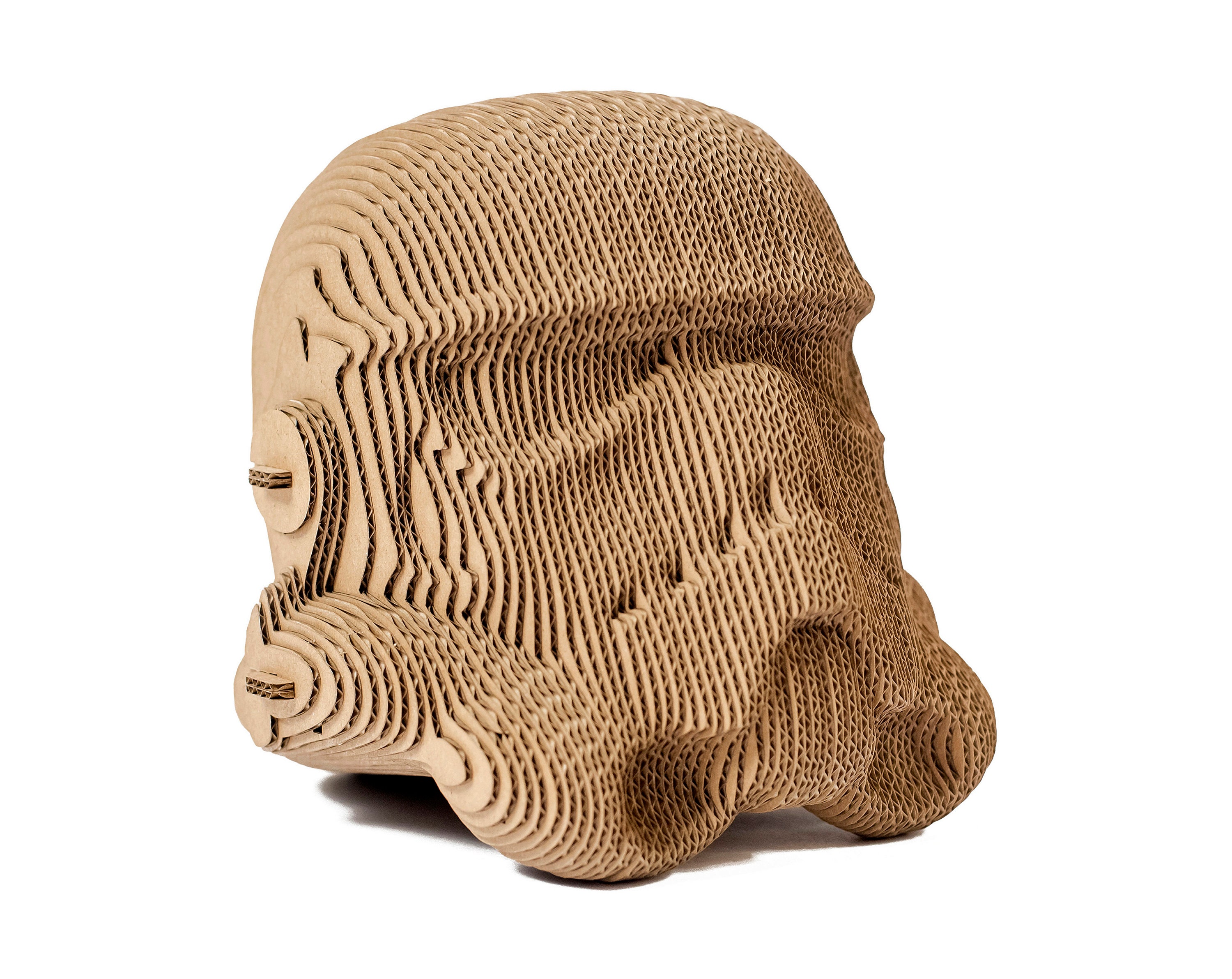 Stormtrooper Helmet of Troops of the 
