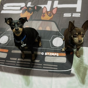 Op de afbeelding: Twee kleine zwarte en bruine honden zitten op een grijs en wit deken met een zwart-witte afbeelding van een auto met de tekst "944 S2" erop gedrukt. De auto heeft een rode en oranje streep aan de onderkant. De honden dragen halsbanden met tags.