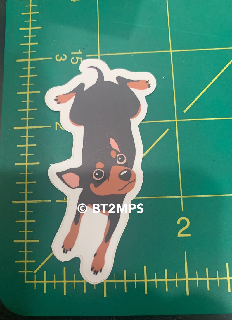 Puede incluir: Una pegatina de un perro negro y marr&oacute;n con patas blancas, mirando hacia arriba con la cabeza inclinada. El perro est&aacute; boca abajo y tiene un fondo blanco. La pegatina tiene el texto "&copy; BT2MPS".