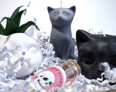 Cat Lover Gift Box Cat Lady Present Cat Candle Planter Gift Box