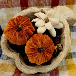 Pumpkin Cutie Curated Dough Bowl