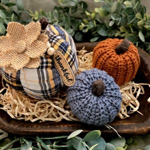 Pumpkin Patch Curated Dough Bowl