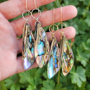 May include: Four pairs of iridescent abalone shell earrings. Each earring features a teardrop-shaped shell with a mix of blues, greens, and purples. The earrings have silver or gold-colored wire and hooks for pierced ears.