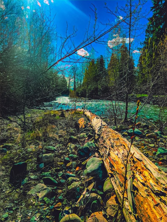 Laid Back in Ross Creek