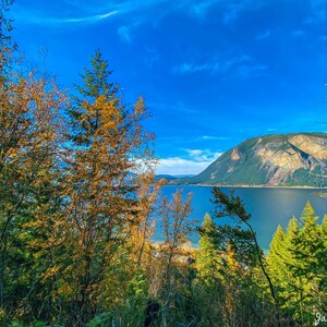 Late Fall In The Shuswap