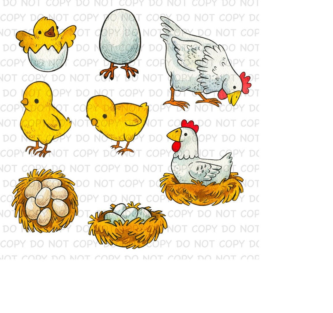 Cute Watercolor Baby Chick Eggs Chicken Farm Animal Digital Sublimation ...