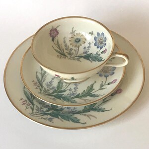 Thomas Bavaria Three-piece Tea Cup and Saucer Plate Setting, 1930's Germany Replacement China, 7373