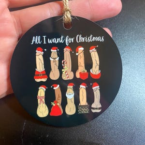 Funny Christmas Ornament/ adult ornament/ funny ornament/ secret Santa/ gift/ stocking stuffer