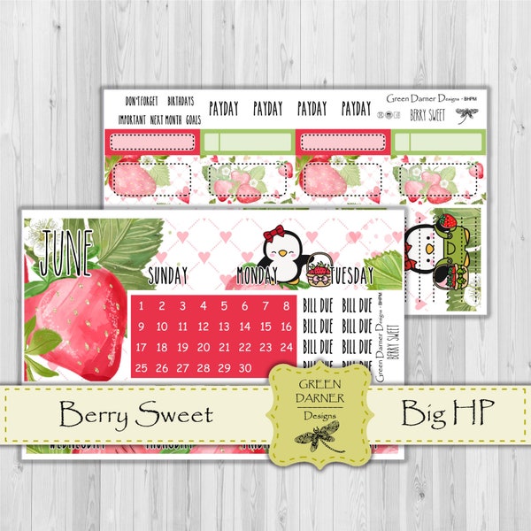 Happy Planner 2021 Etsy