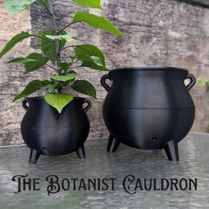 植物学者の大釜プランター