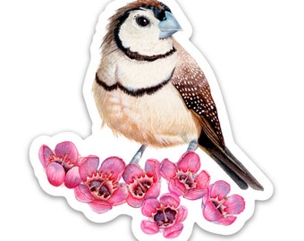 BIRD STICKER - Australian Double-Barred Finch - Waterproof Vinyl