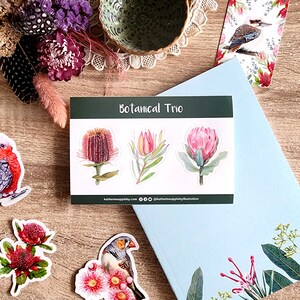 Botanical Trio STICKER SHEET Protea, Banksia, Leucadendron image 3