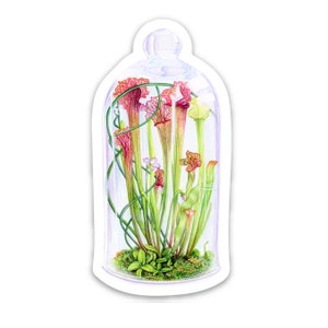 PLANT STICKER - Tiny World Terrarium - Waterproof Vinyl