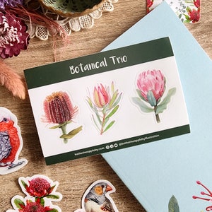 Botanical Trio STICKER SHEET Protea, Banksia, Leucadendron image 2