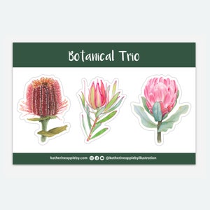 Botanical Trio STICKER SHEET Protea, Banksia, Leucadendron image 1